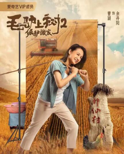 秋霞午夜三级