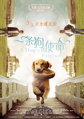 午夜视频网