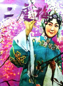 两种味道的小姐