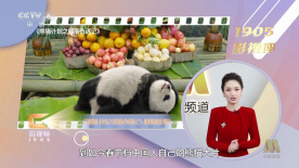 欧美一级精品