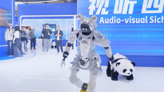 国产成人av一区